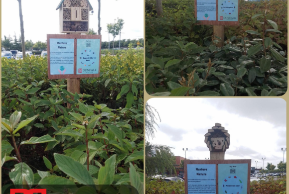 Dundalk Retail Park Introduces Bug Hotels to Protect Local Insect Life