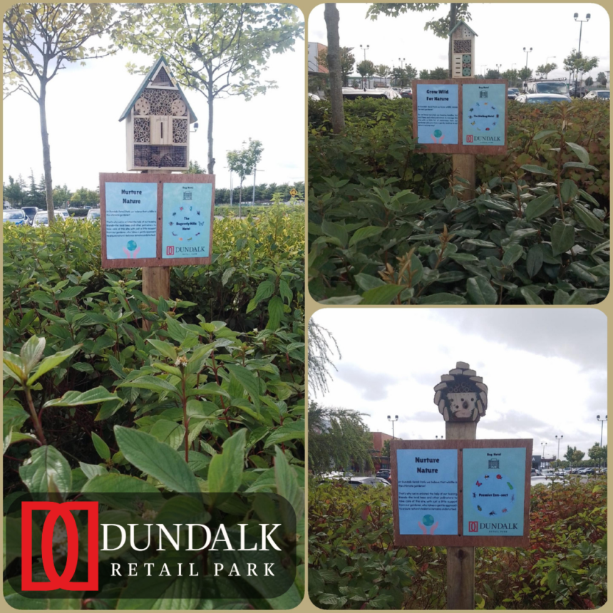 Dundalk Retail Park Introduces Bug Hotels to Protect Local Insect Life